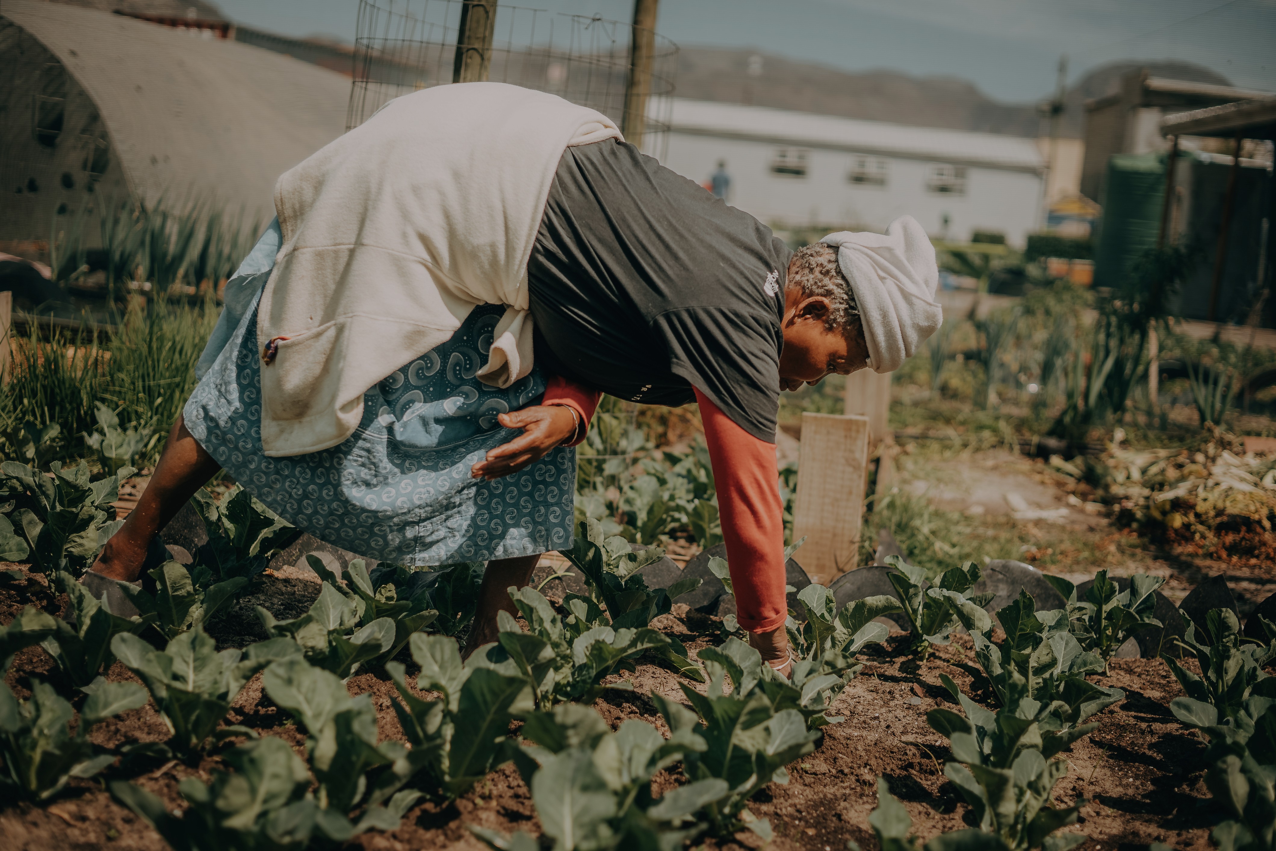Community Kitchen And Food Garden